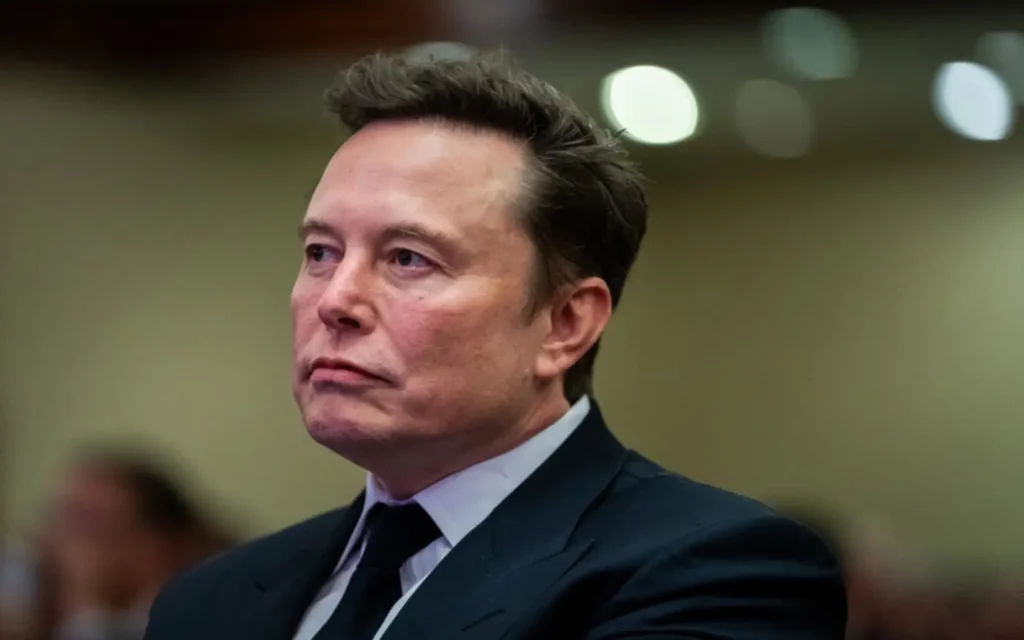 Government Efficiency Could Have Stopped Elon Musk